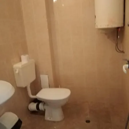 за гости маги *