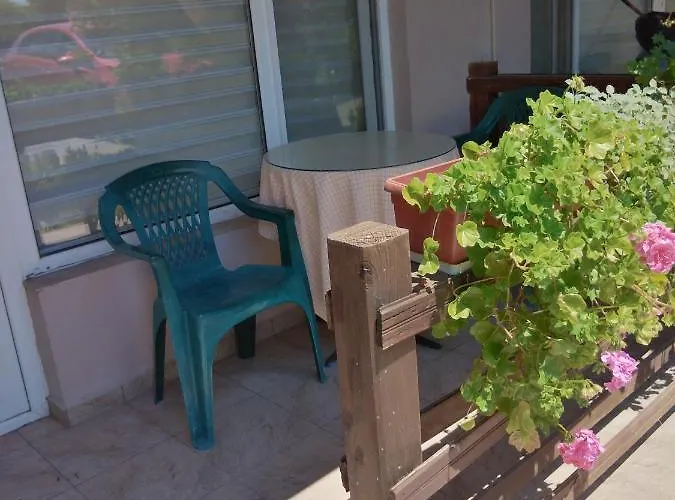 за гости маги *