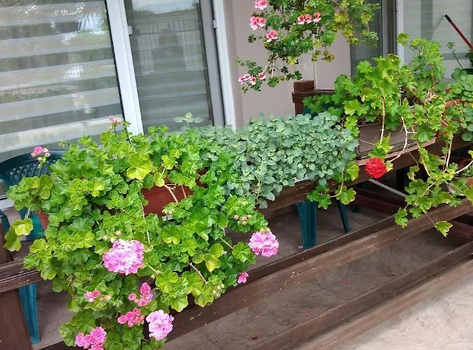 за гости маги Rum i privatbostad