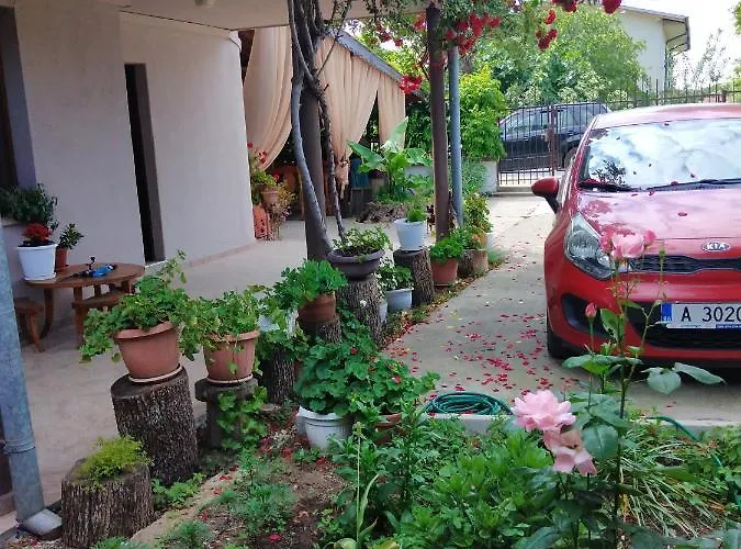 за гости маги Sinemoretz