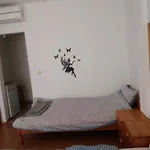 Accommodatie bij particulieren за гости маги Sinemoretz