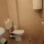 за гости маги *