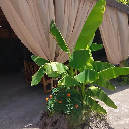 за гости маги Homestay szállás *