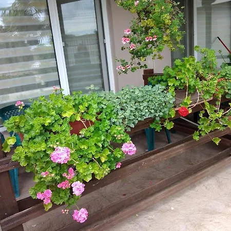 за гости маги Homestay szállás