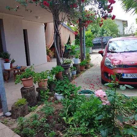 за гости маги Sinemorec