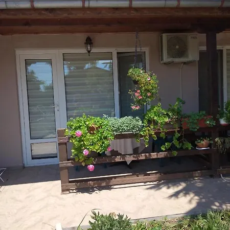 за гости маги *