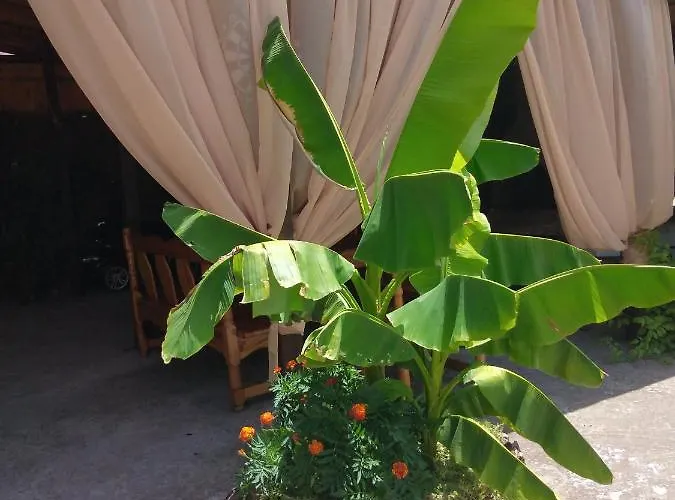 за гости маги Частна квартира *